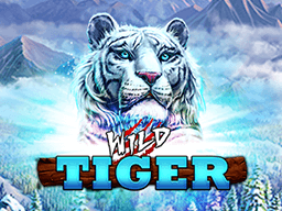 Wild Tiger