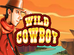 Wild Cowboy